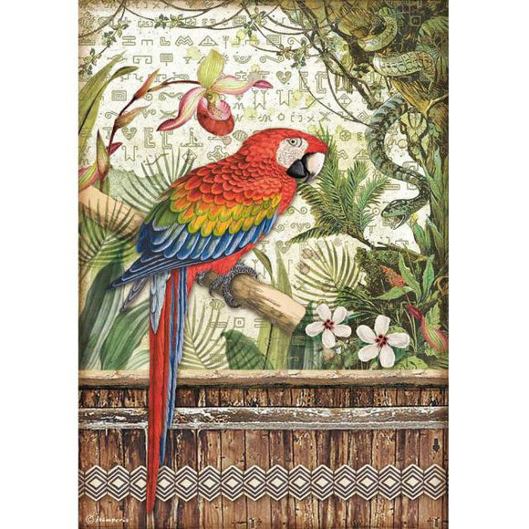 Stamperia A4 Rice paper - AMAZONIA Parrot